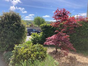 Photo 26- click for photo gallery